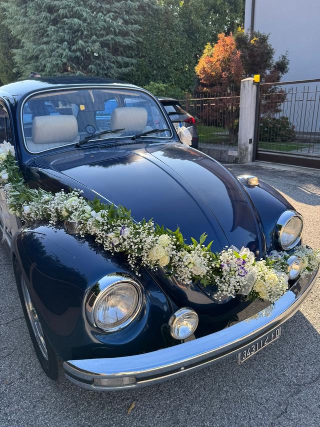 Manuel Giacometti - 3