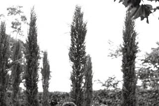 Gaetano Clemente Wedding Storyteller - 30