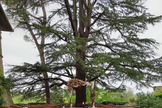 Mainardi Addobbi Floreali - 36