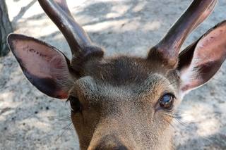 Viaggi Beltrami - 11