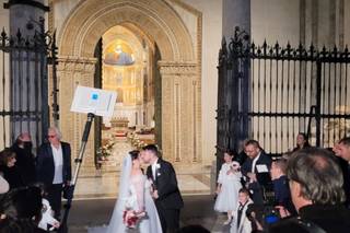 Medinilla Flower - 5