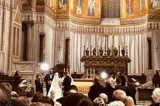 Medinilla Flower - 6