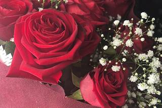 Medinilla Flower - 7