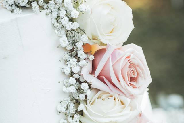 Max Monticone Wedding 5