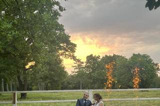 Hostaria ai Pini - 6