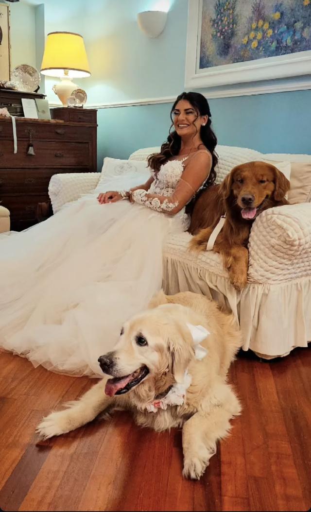 Portami Con Te - Wedding Day Dog Care - 2
