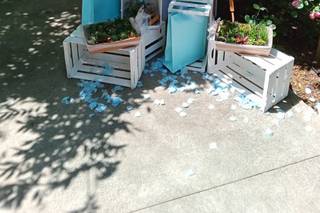 Hostaria ai Pini - 7