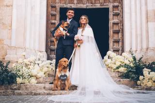 Wedding Dog Sitter - 6