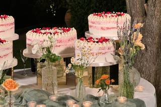 Lady Cake di Paola Mattonai - 14