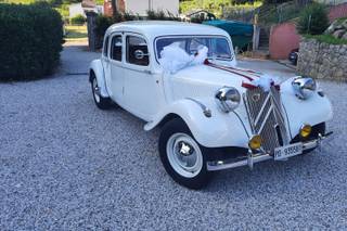 Autoservizi dei Colli - 12