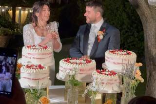 Lady Cake di Paola Mattonai - 16