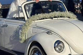 Auto da cerimonia Prinzivalli - 5
