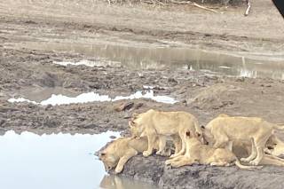 Cribor Travel Agency - 19