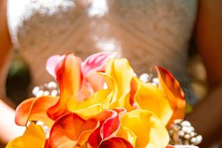 Camilla Sarzi Photoart - 5