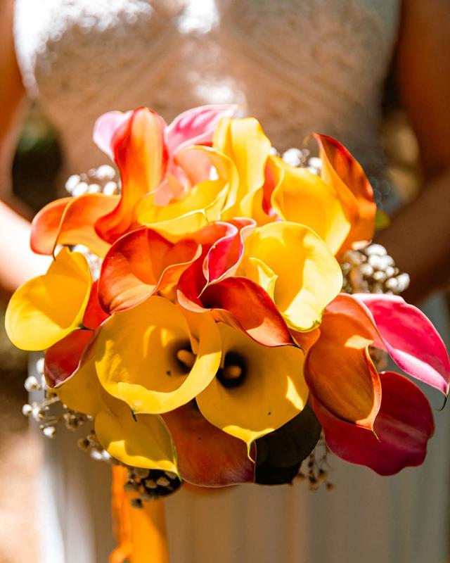 Camilla Sarzi Photoart - 2