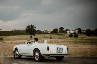Le Auto di Magnolia - 23