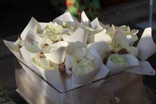 Elbi Eventi - 6