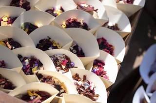 Alice Fiori & Pensieri - 22