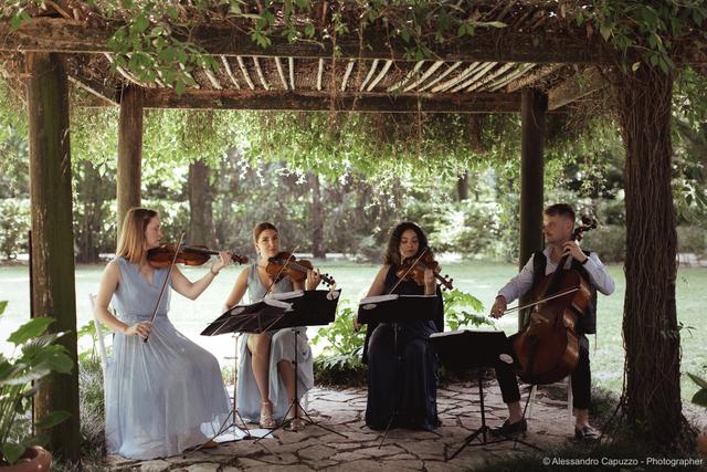 Quartetto d'archi Le Corde del Mondo - 1