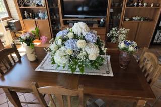 D'Agostino Antonino Piante&Fiori - 18