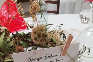 Tipografia di Rienzo & Ragnatela - 8