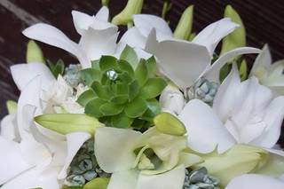 Sissi Art and Flowers - 17