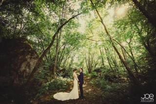 Joe Vettori Photography - 12