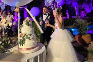 Ultrasound Wedding - 5