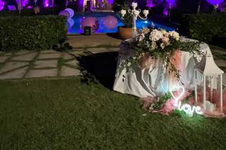 Ultrasound Wedding - 6