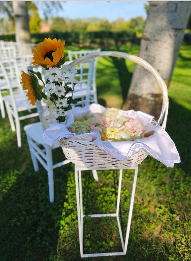 Dream Flowers - 3