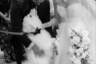 Soldano Tecnifoto - 6