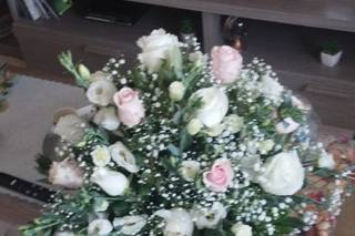 D'Agostino Antonino Piante&Fiori - 12