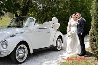 Elegance Car Service - 16