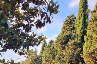 Casale Baldetti - 5