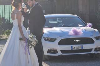 Mustang Rent di Michele Motta - 5
