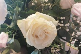 Flor De Lis Legnano - 13