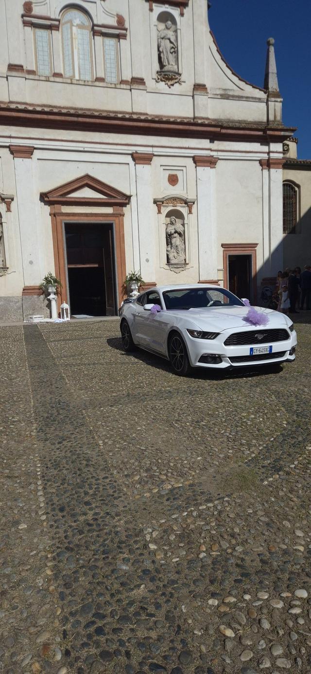 Mustang Rent di Michele Motta - 2