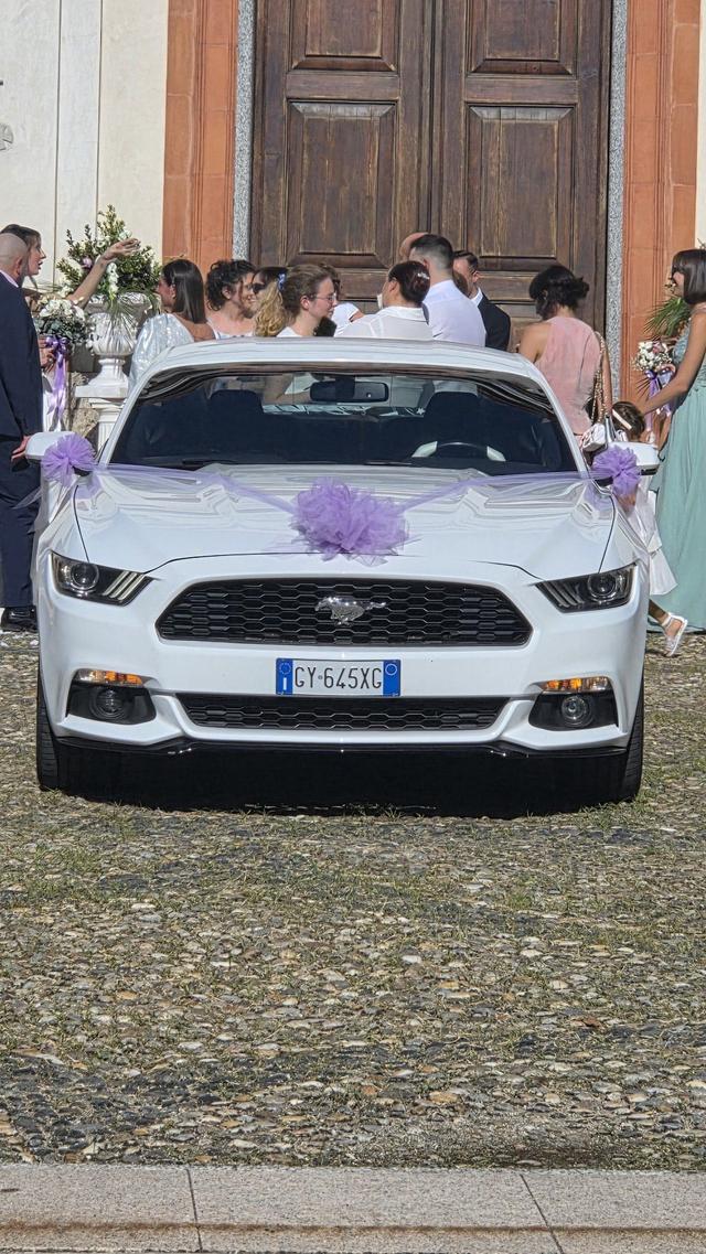 Mustang Rent di Michele Motta - 3