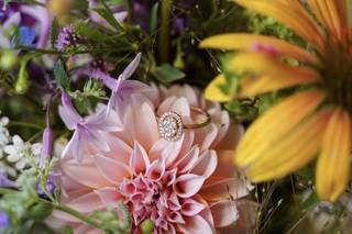 RAW Studio + Garden - 5