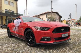 Stefano Del Quarto - Noleggio Mustang - 22