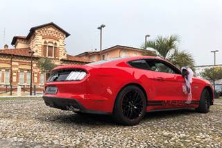 Stefano Del Quarto - Noleggio Mustang - 23