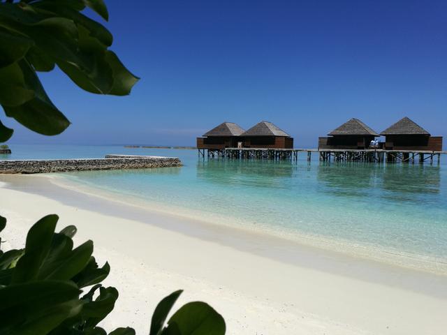 Anywhere Viaggi - 1