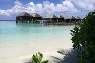 Anywhere Viaggi - 6