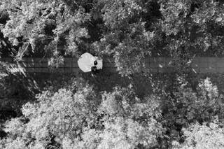 Villa del Parco - 13