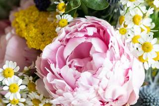 La fatina dei fiori - 14