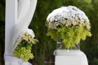 Art & Nature Designer - 16