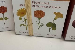 Ubuntu EcoEvents - 10