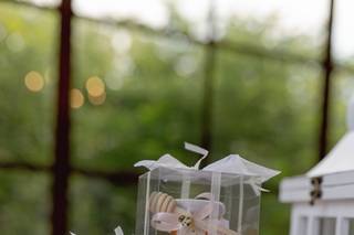 M. M. Apicoltura - 9