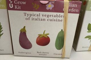 Ubuntu EcoEvents - 12