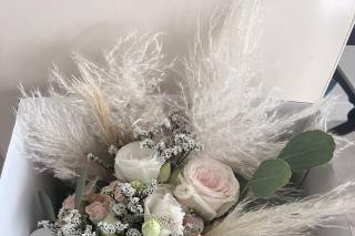 Fleurs D'Ange - 18